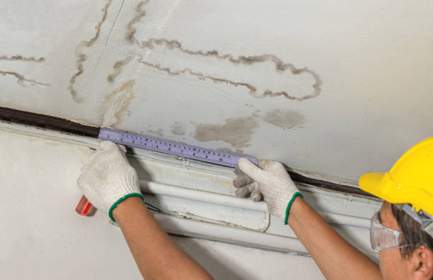 Reliable Sewage Cleanup contractor in Renault, IL by Water Damage Irwin